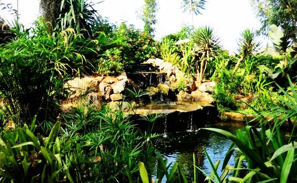 Exotic gardens of Bouknadel